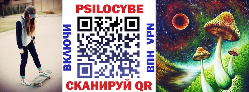 купить наркотики сайты  МЕГА ССЫЛКА  Псилоцибиновые грибы Psilocybine cubensis  Цимлянск 